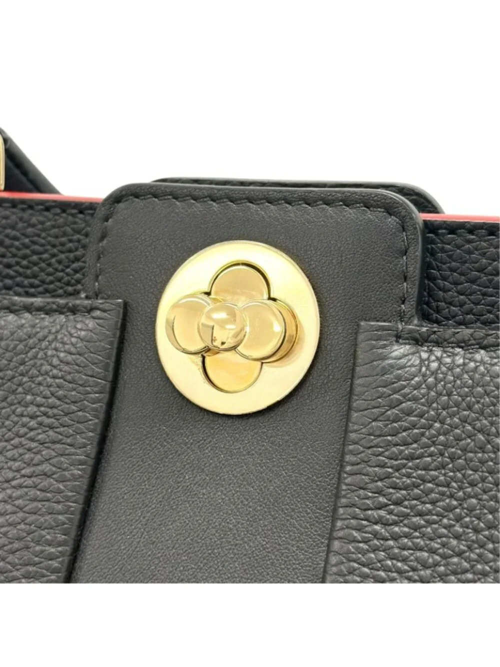 Louis Vuitton brand louis